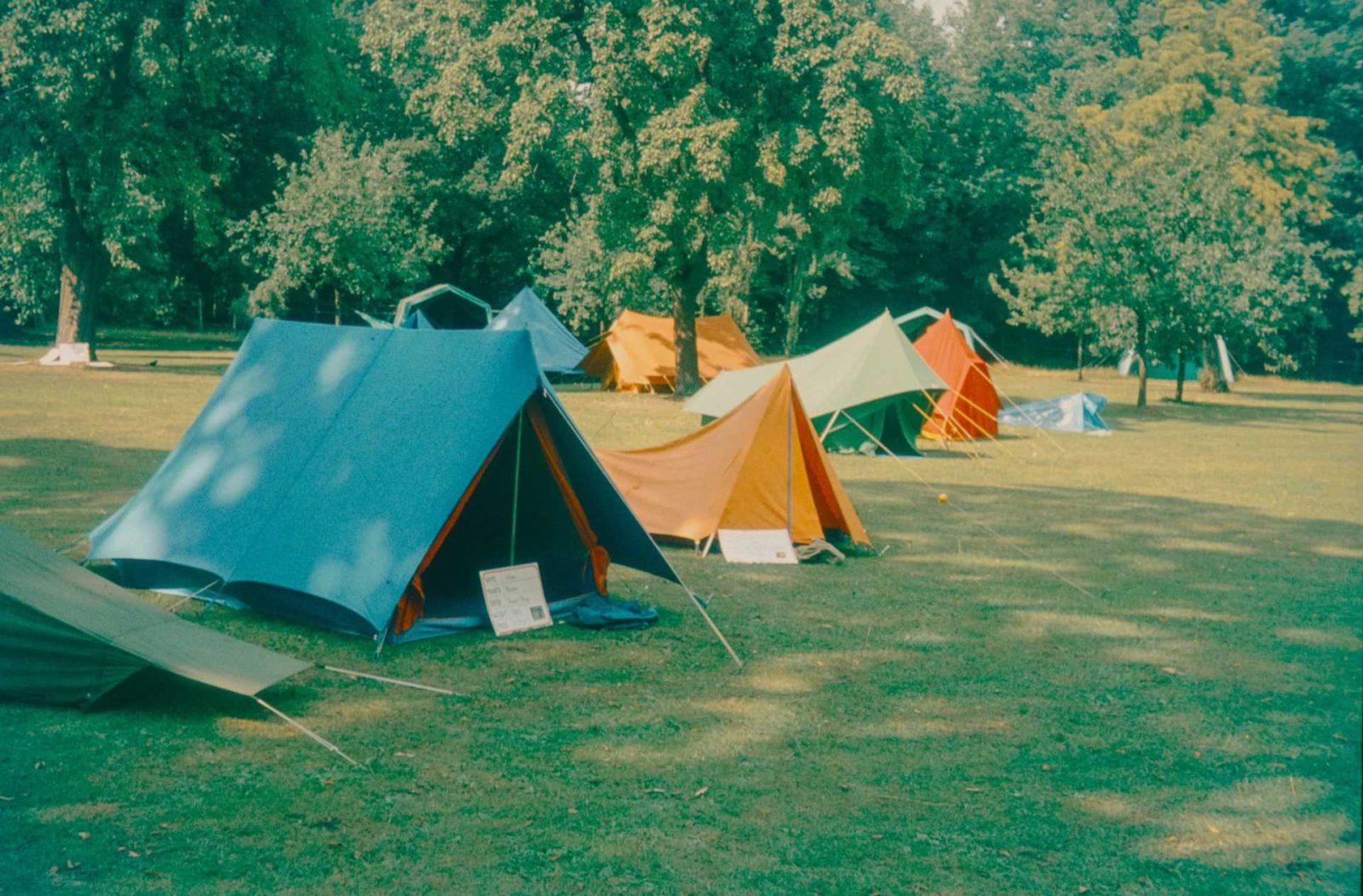 Tents in every colour pitched under the trees in the lower field