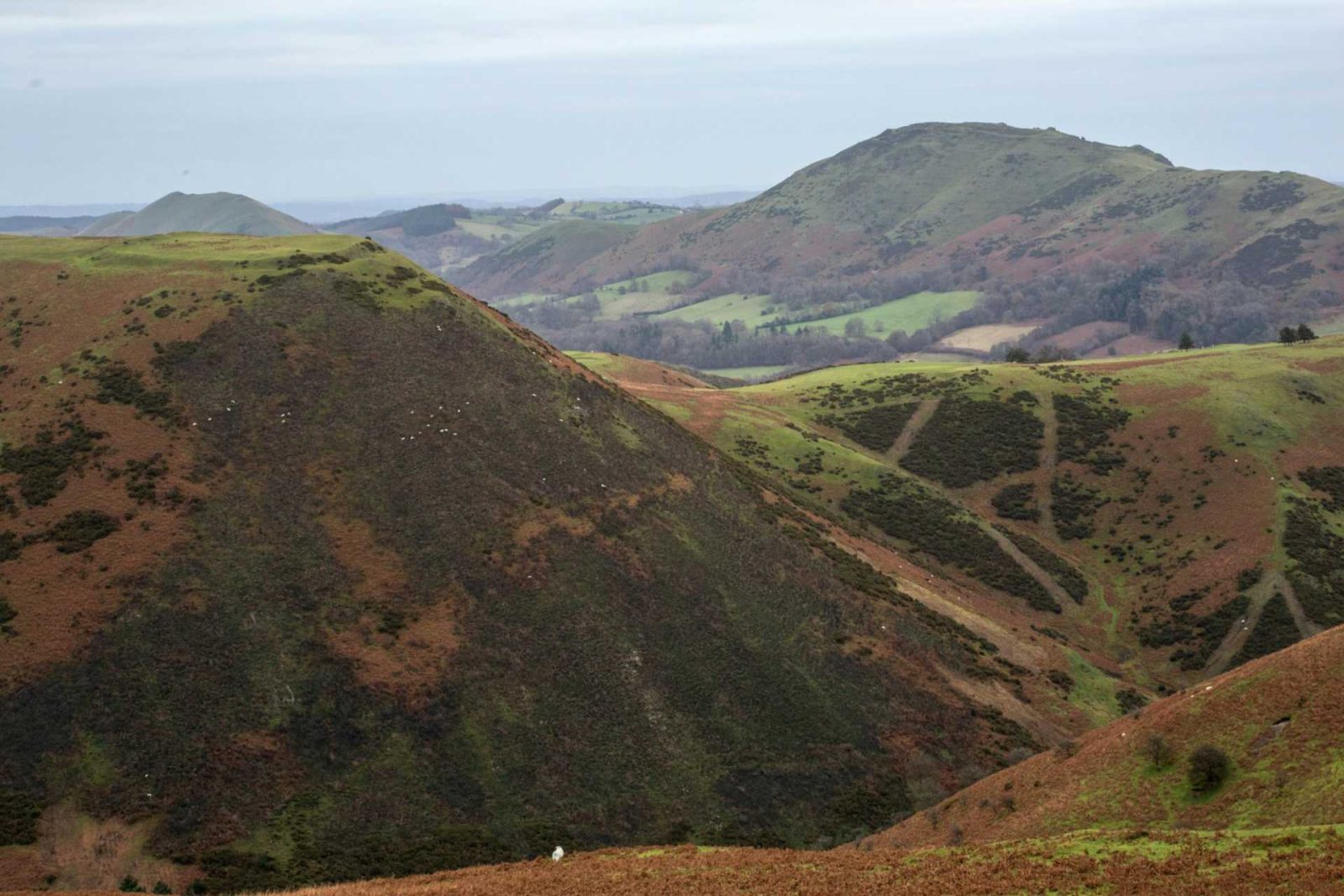 The hills behind the farm in autumn