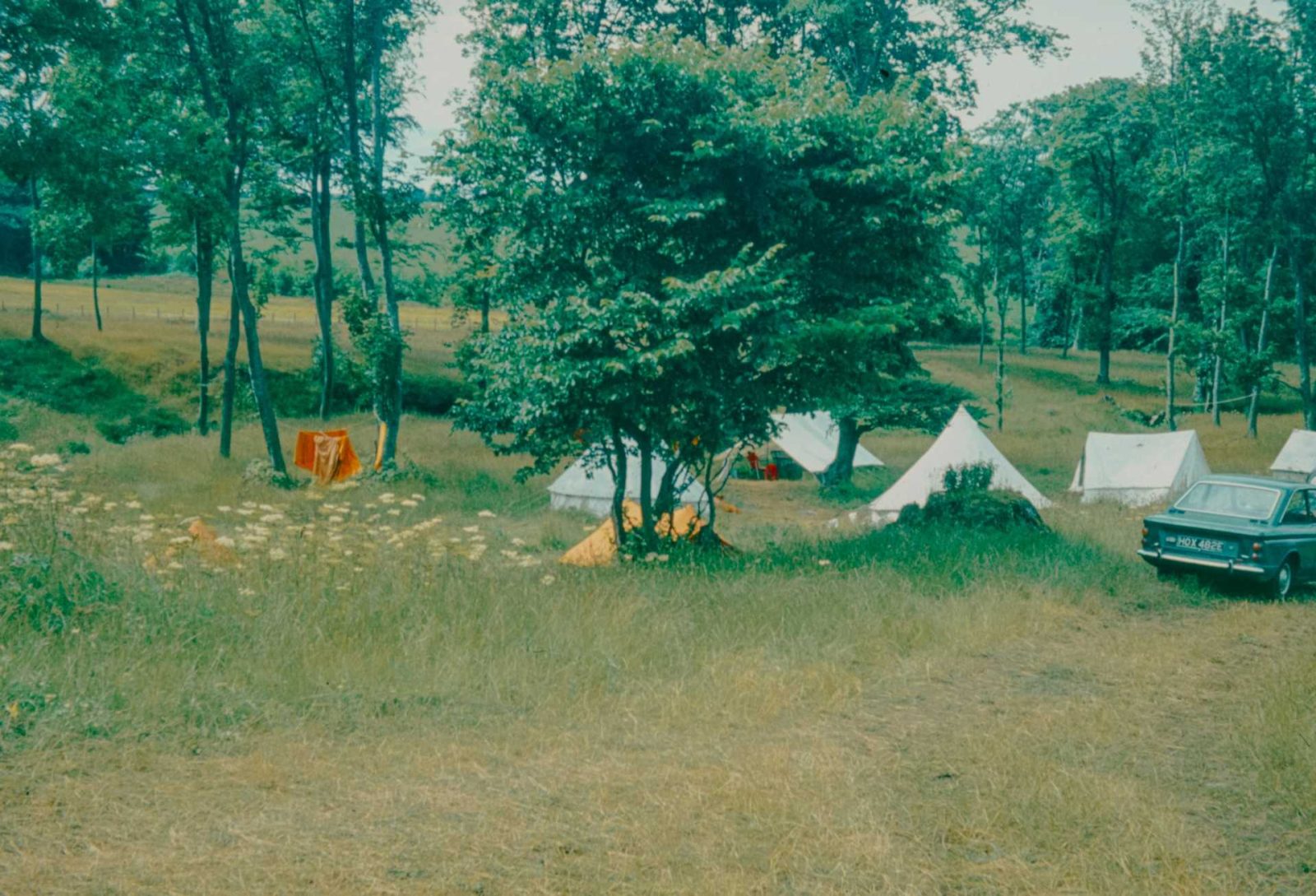 Tents pitched on the grass in the lower field