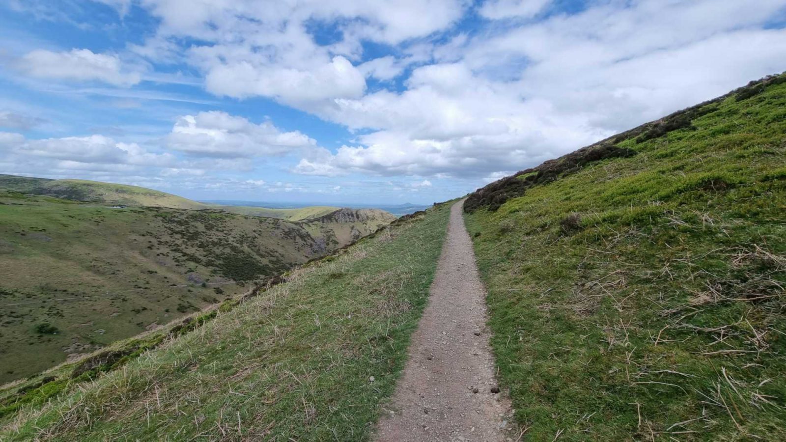 The path up the hill from the back gate
