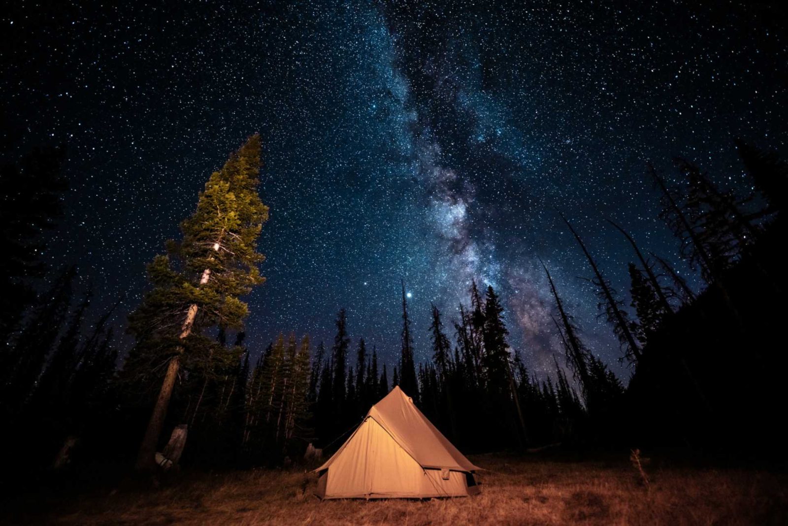 A tent under the stars in the upper meadow