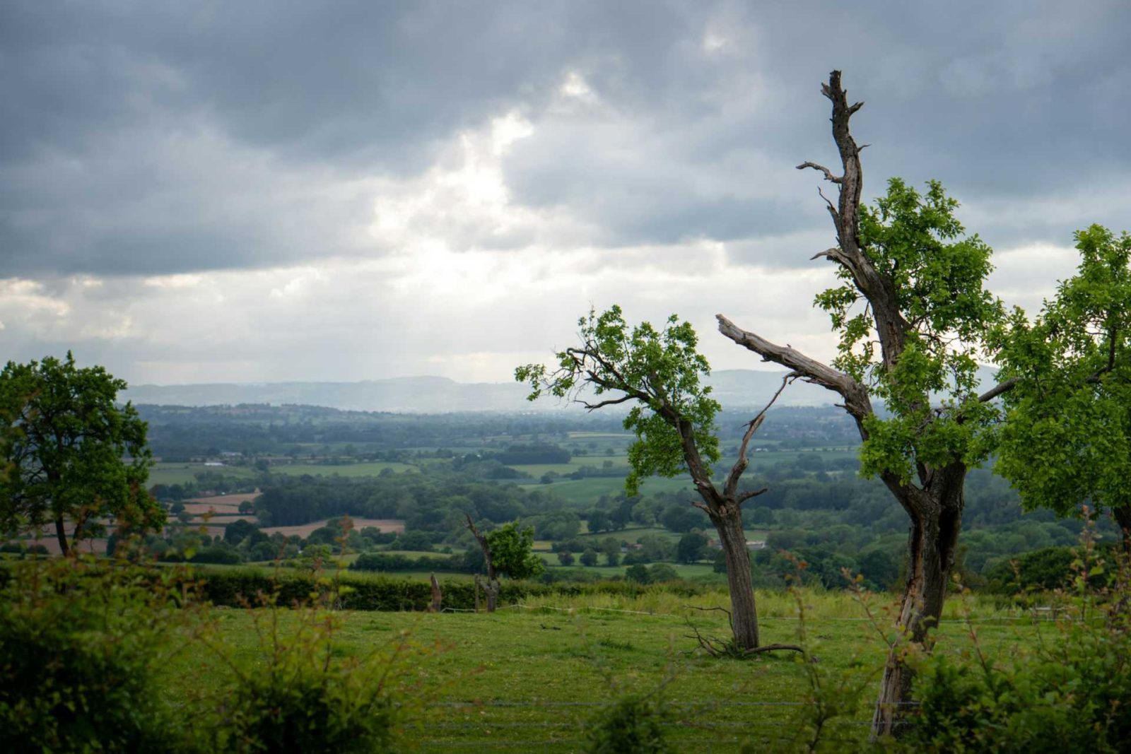Looking out over the valley from the top field